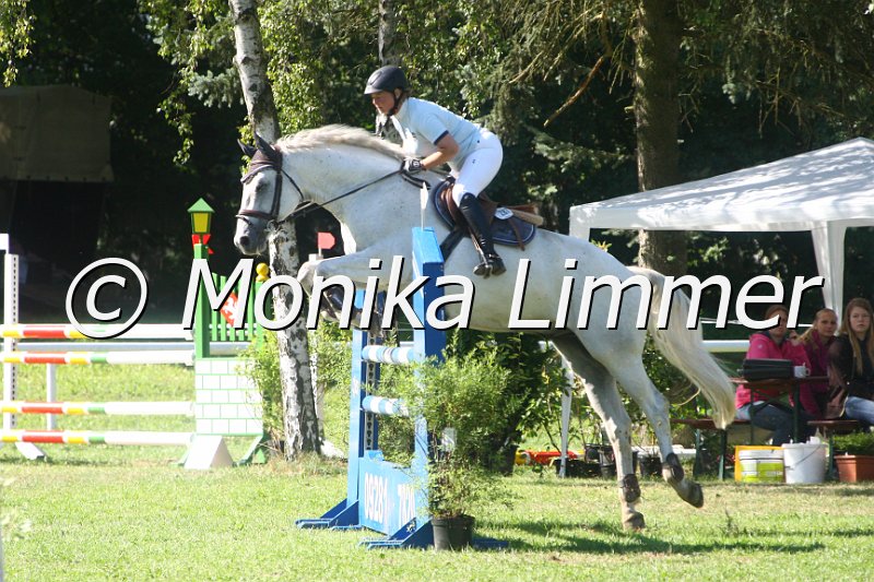 308M1273_Quietol_Spring L.JPG